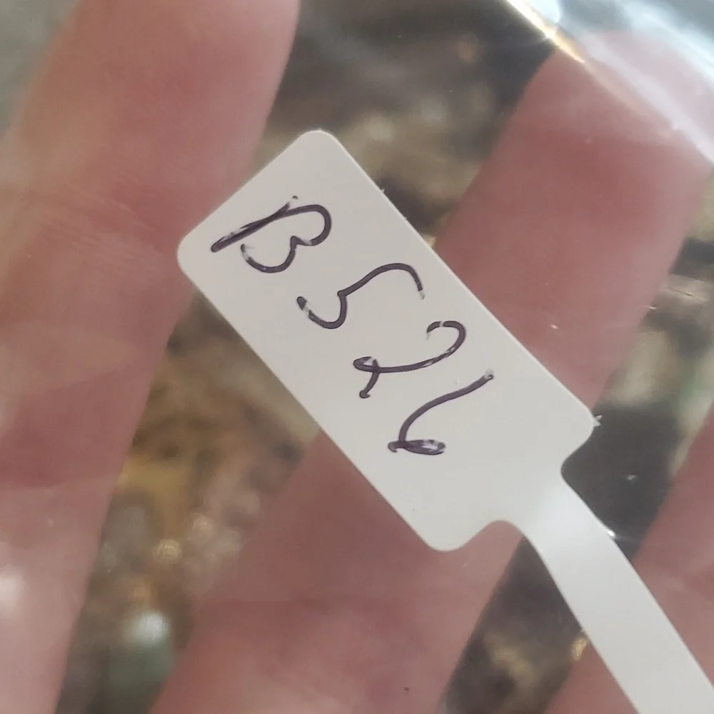 Check mark‎ vintage pin B526